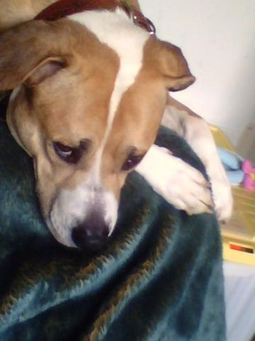 Romeo